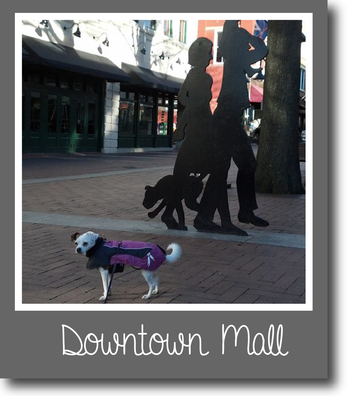 Tilly-DowntownMall-01