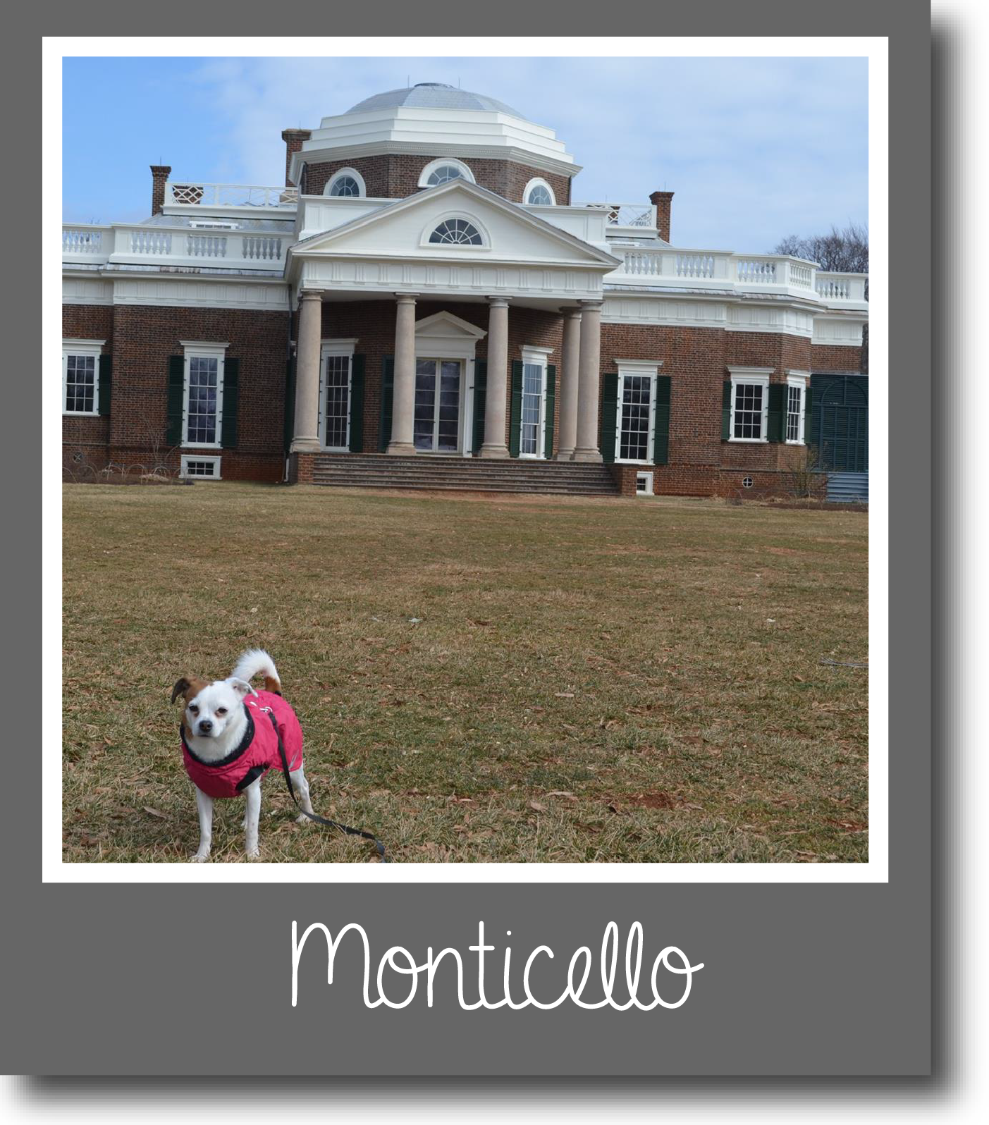 Tilly-Monticello-01