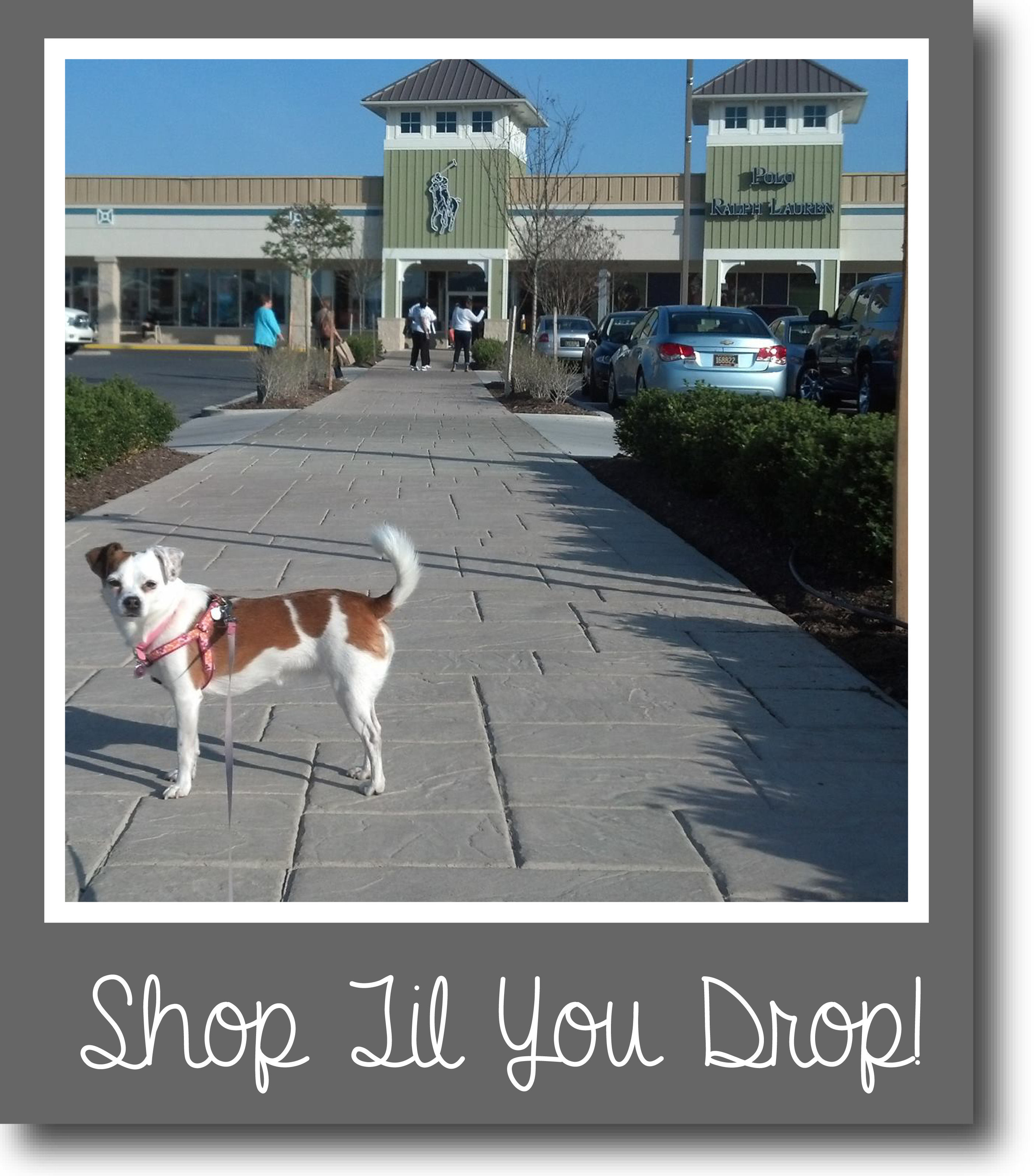 Tilly's Travels - Shop Til You Drop!