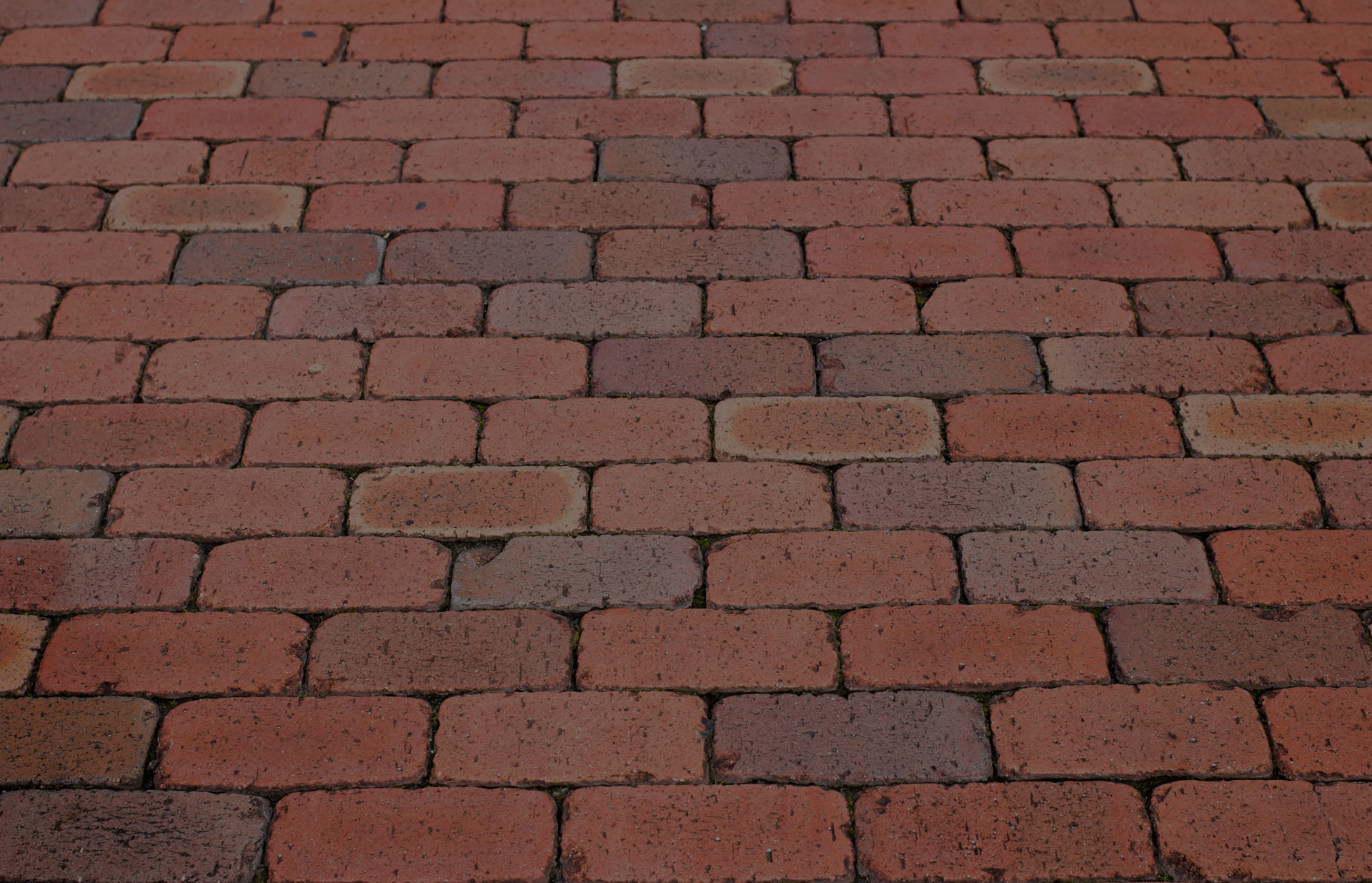 Brick footpath background. - Image