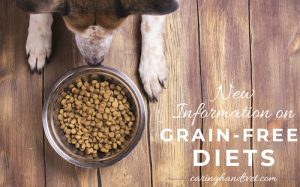 New and updated information on grain-free diets for pets.