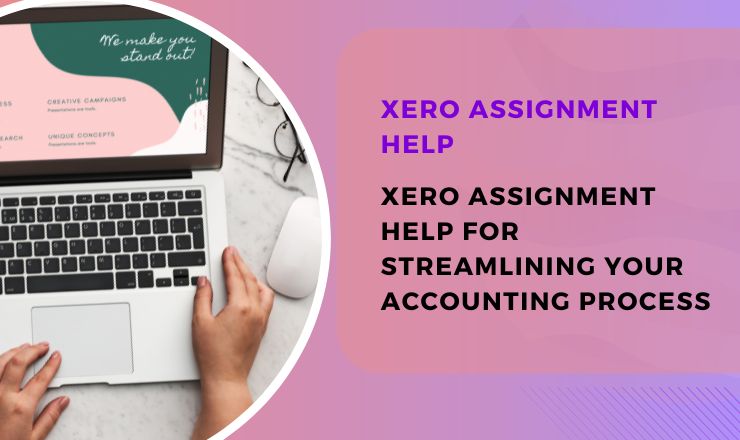 Xero Assignment Help for Streamlining Your Accounting Process