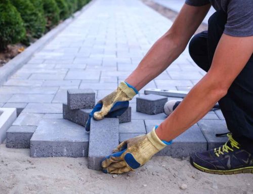 Affordable Patio Paver Restoration and Sealing Services in Phoenix