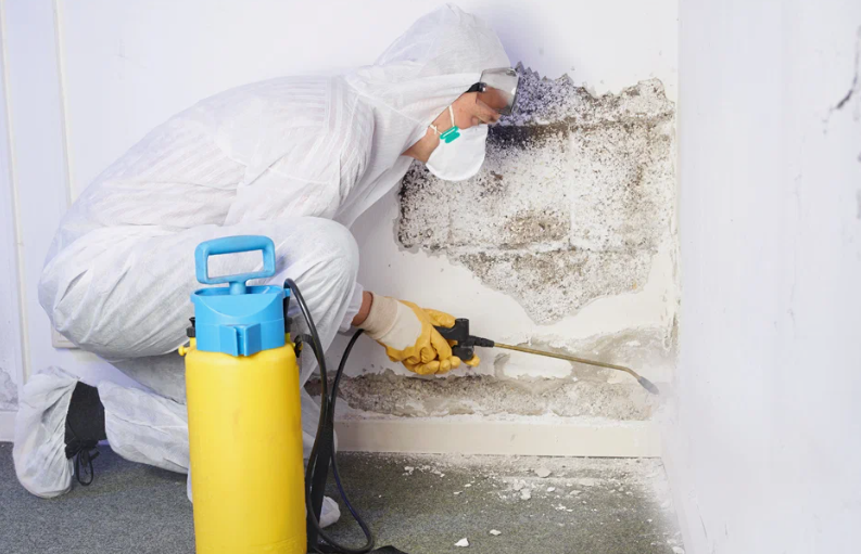 What Is Mold Remediation and Why It's Essential for Your Home?