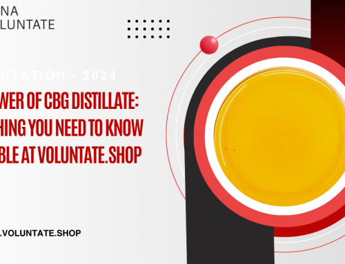 The Power of CBG Distillate: Everything You Need to Know Available at Voluntate.shop