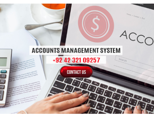 Exploring Accounts Management Software Solutions in Lahore