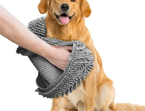 5 Genius Ways a Dog Towel Can Save You Hours of Cleanup