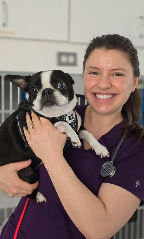 Dog Intensive Care