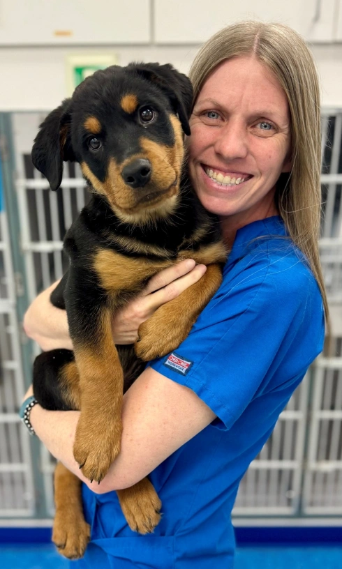 Dog Wellness Care