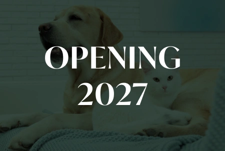 Opening 2027