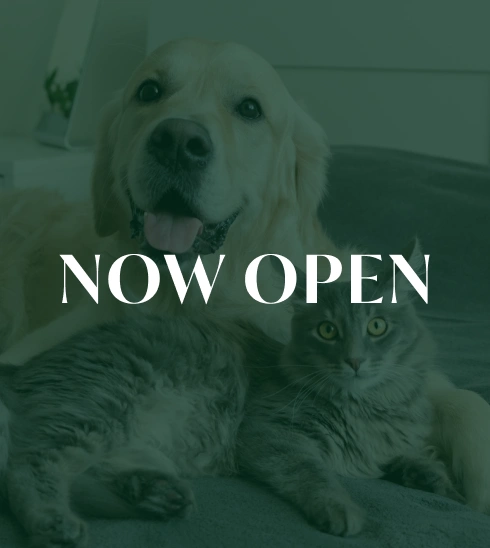 Now Open