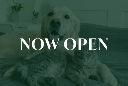 Now Open